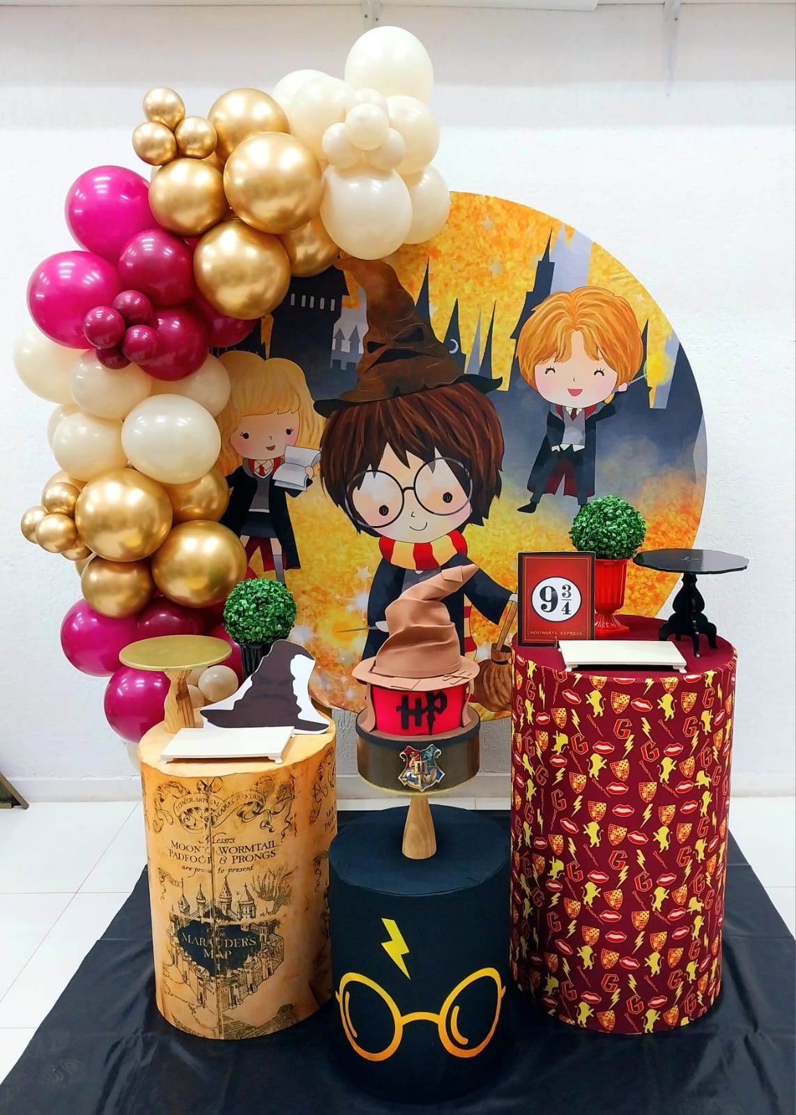 Harry Potter Harry Potter